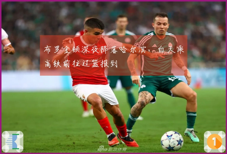 布罗金顿深夜降落哈尔滨,白天乘高铁前往辽篮报到
