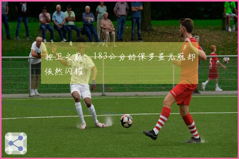 控卫之巅：183公分的保罗虽无冠却依然闪耀