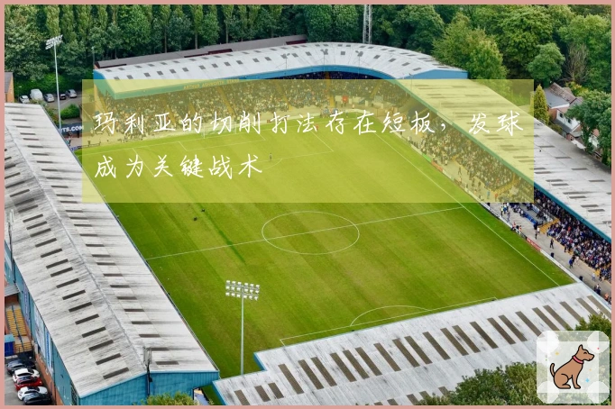 玛利亚的切削打法存在短板,发球成为关键战术